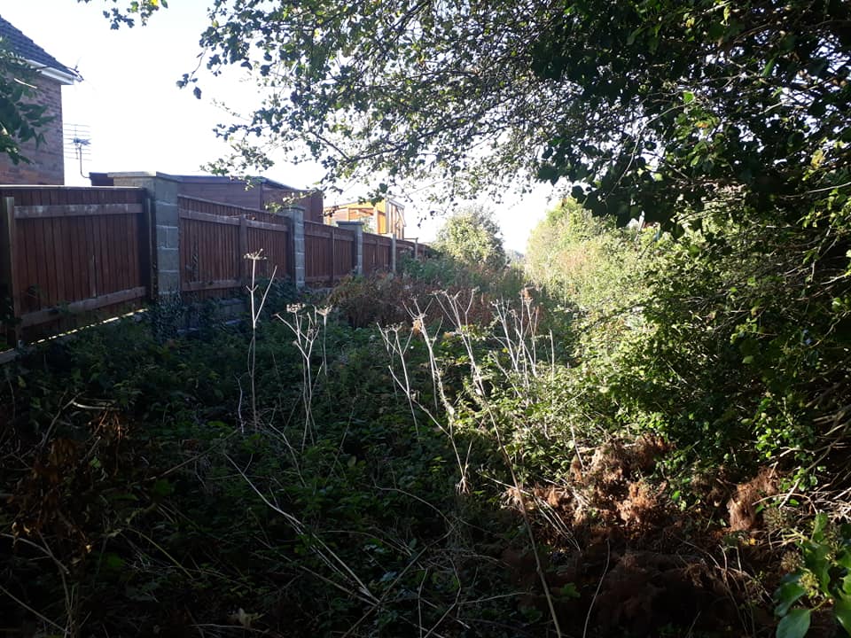 File:Former platform and overgrown trackbed.jpg