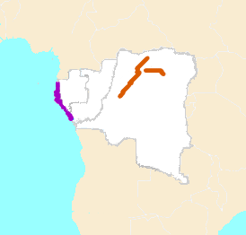 File:Pseudochelidon eurystomina map.png