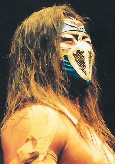 File:Hayabusa FMW.jpg