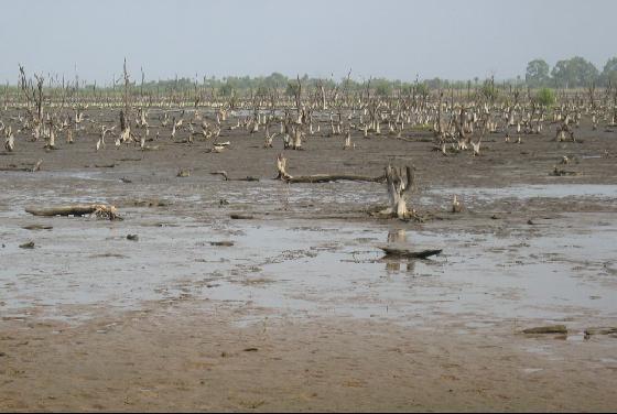 File:1917335-Things To Do-The Gambia.jpg
