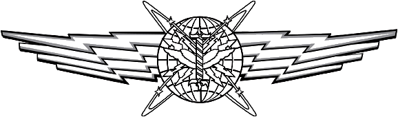 File:USAF - Cyberspace Operator Wings Basic.png