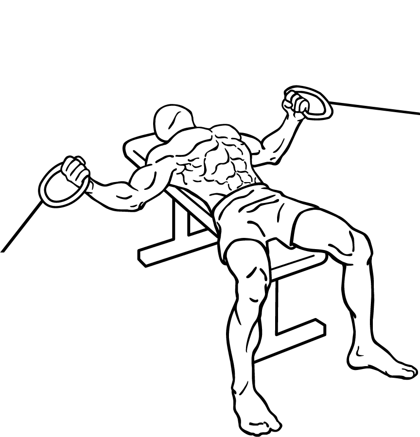 File:Flat-bench-cable-flys-2.png