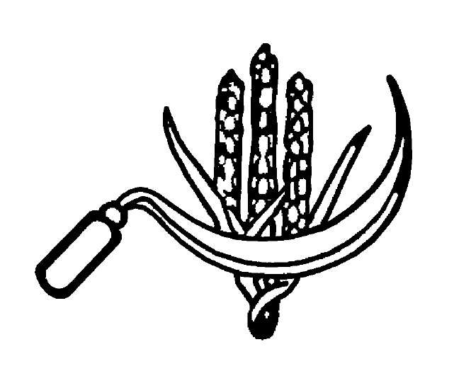 File:Indian Election Symbol Ears of Corn and Sickle.png