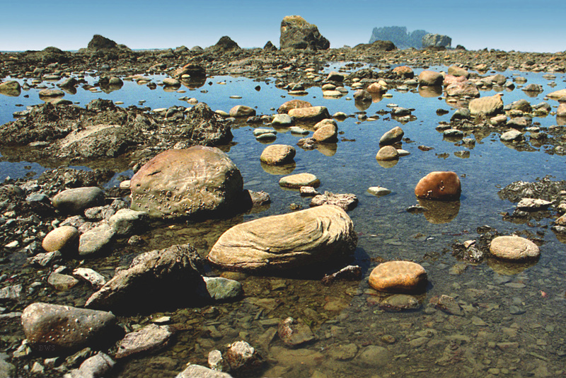 File:A058, Olympic National Park, Washington, USA, tidepools, 2002.jpg