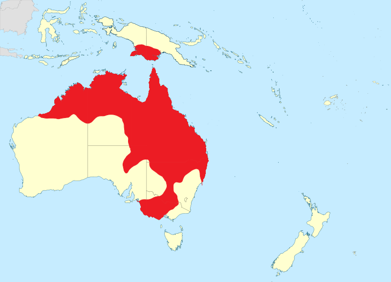 File:Antigone rubicunda dist.png