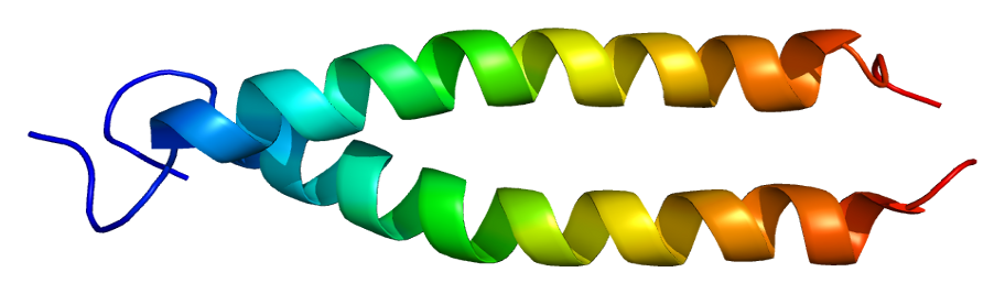 File:Protein TPM3 PDB 1mv4.png
