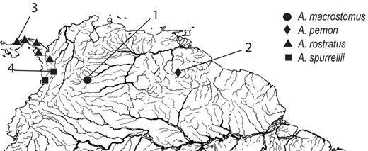 File:Apteronotus distribution map.jpg
