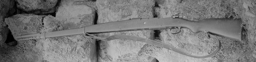 File:Steyr Mauser M.14.jpg