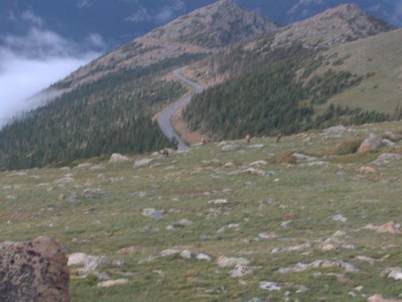 File:Trail Ridge Road.jpg