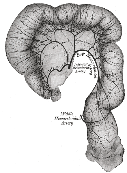 File:Gray538.png