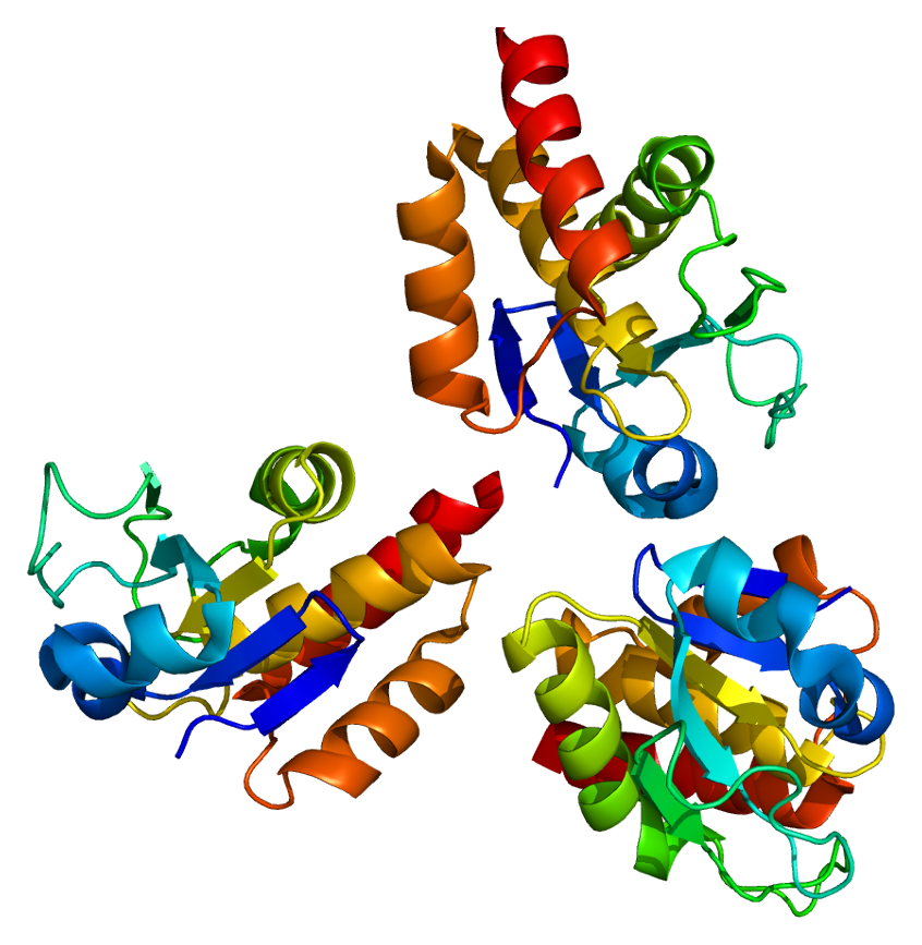 File:Protein SSH2 PDB 2nt2.png