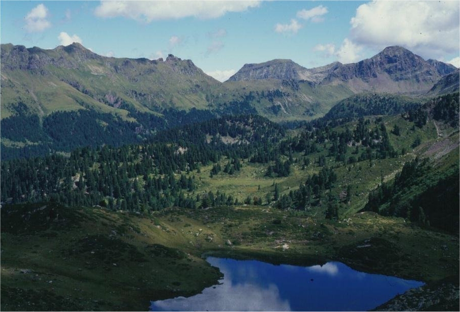 File:Lagorai.jpg