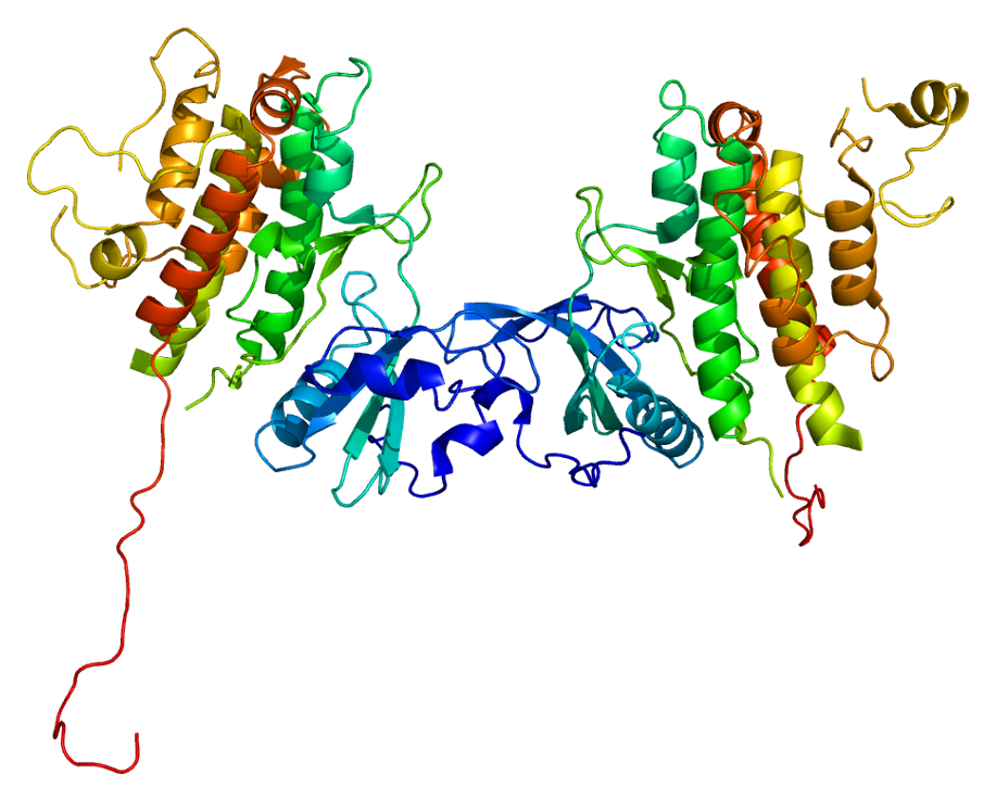 File:Protein MAPKAPK2 PDB 1kwp.png