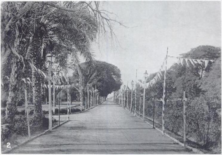 File:Photograph of an avenue in the Darbar Ganj Gardens of Faridkot State.jpg