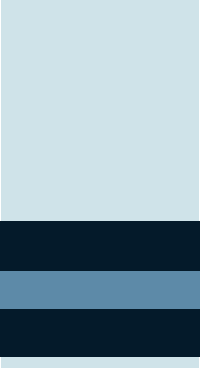 File:Air Commodore of IAF.png