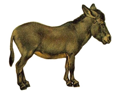 File:NIEdot332 white background.jpg