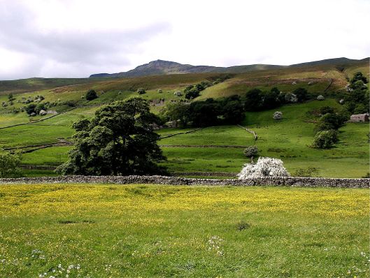 File:Wildboar fell-june.jpg