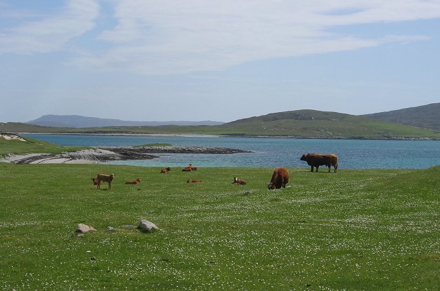 File:Berneray Machair.jpg