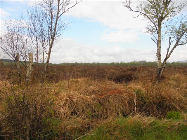 File:Fartrin.jpg