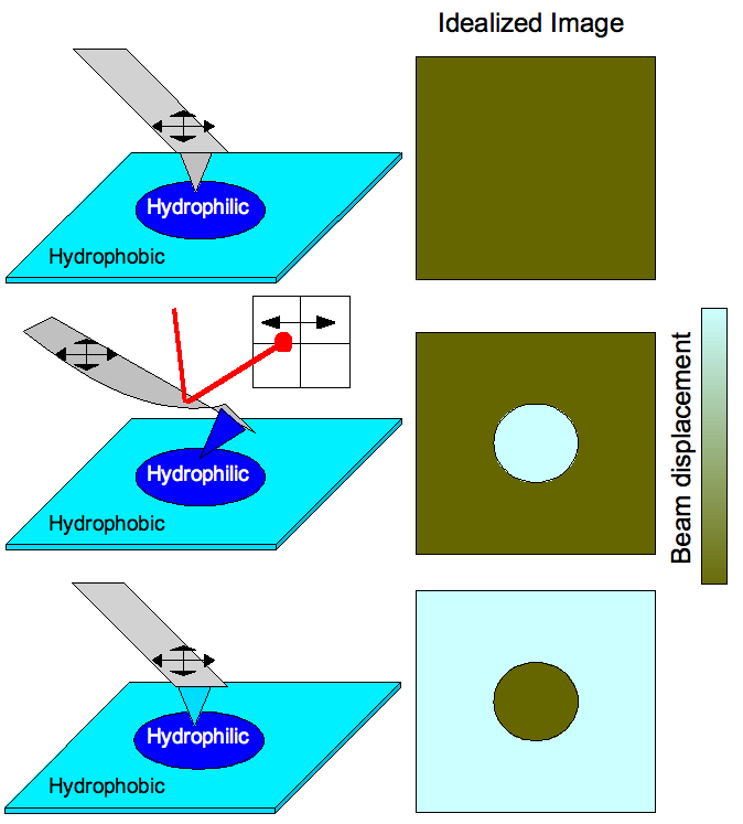 File:Figure3.png