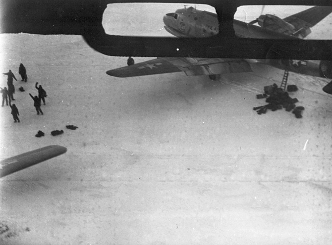 File:Kee bird - Rescue.png