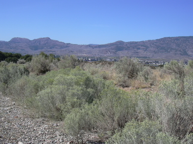 File:Nk'mip Desert.JPG