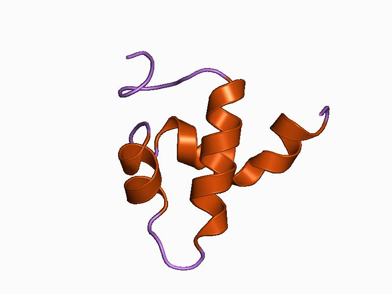 File:PDB 1bw6 EBI.jpg