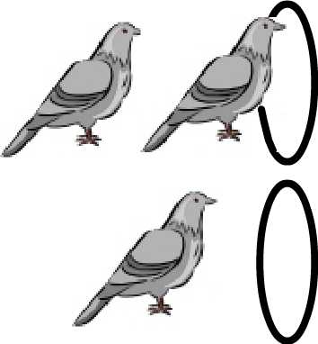 File:Pigeonhole.jpg