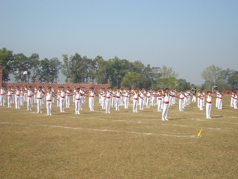File:Pt display.jpg