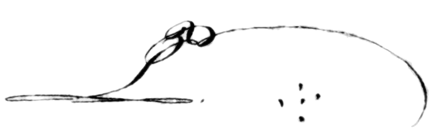 File:Signed initials of Pedro I of Brazil.png