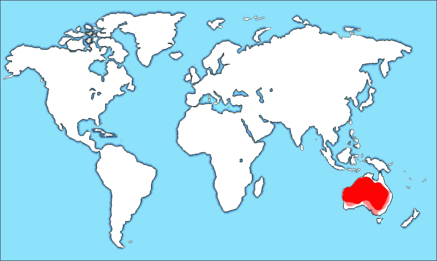 File:Budgerigar map.png