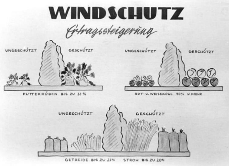 File:Bundesarchiv Bild 183-15117-0005, Infografik, Windschutz, Ertragssteigerung.jpg
