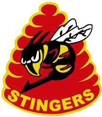 File:VA-113 stingers insignia.png