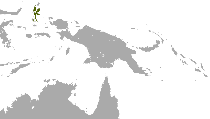 File:Halmahera Blossom Bat area.png