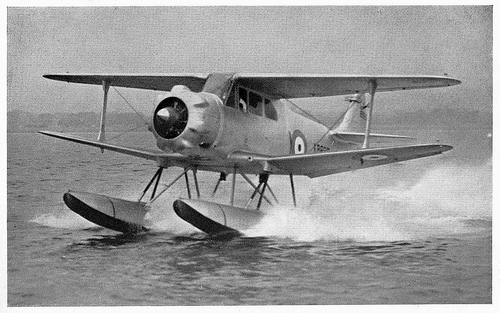 File:Airspeed Queen Wasp.jpg