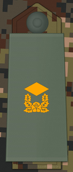 File:KA insignia Warant Officer.jpg