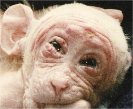 File:BritchesALF-cropped.jpg
