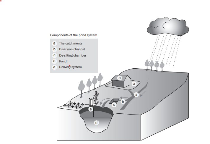 File:Components of pond system.png