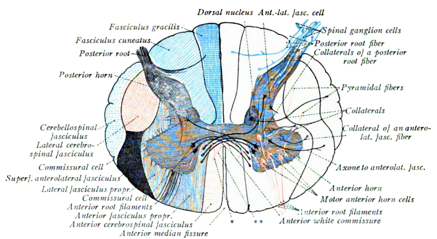 File:Sobo 1909 615.png