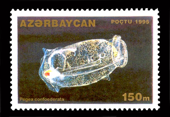 File:Stamps of Azerbaijan, 1995-318.jpg