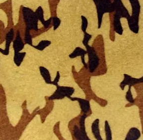 File:IsraelCombat Intelligence CorpsBeretCamouflageColors.png