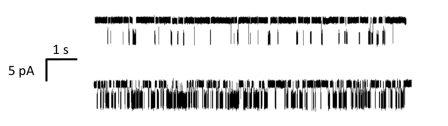 File:SingleMoleculeData IonChannel TwoConcentrations.png