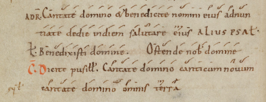 File:Codex Sangallensis 381 2.png