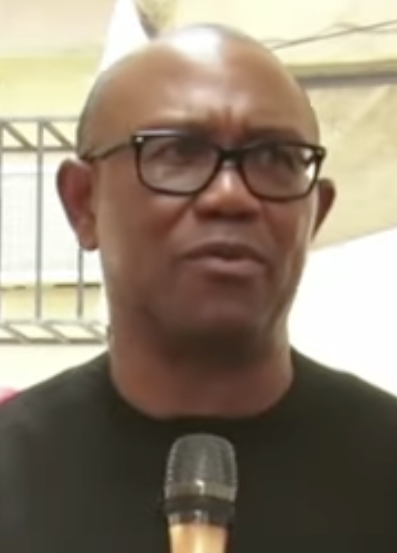 File:Peter Obi.png