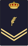 File:Cnpdivisme5.png