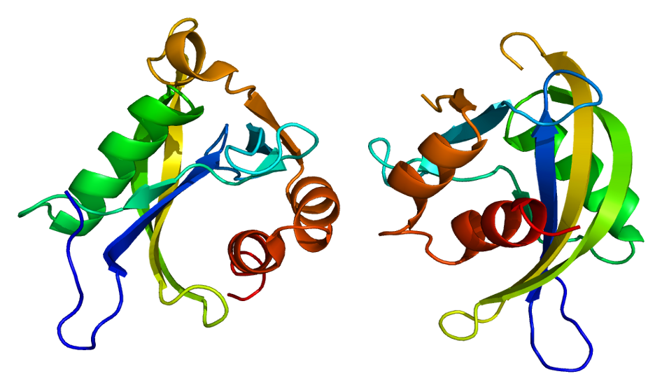 File:Protein NUDT4 PDB 2duk.png