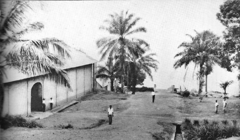 File:Landing place at the Lukolela plantation.jpg