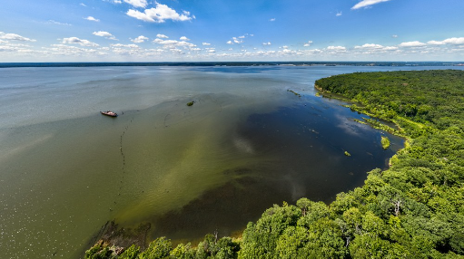 File:Mallows Bay shoreline.PNG