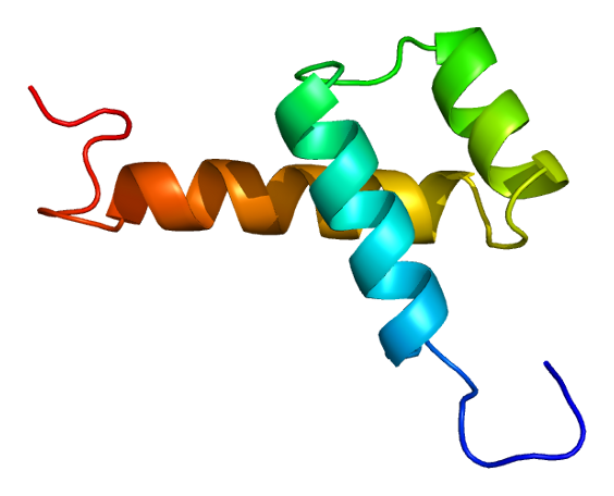 File:Protein TITF1 PDB 1ftt.png