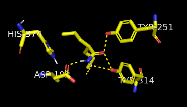 File:MEH Active Site.png